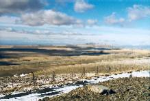 View from the top of Rattlesnake Mountain