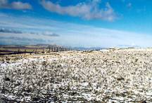 View from the top of Rattlesnake Mountain